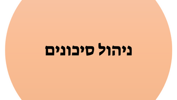 ניהול סיכונים